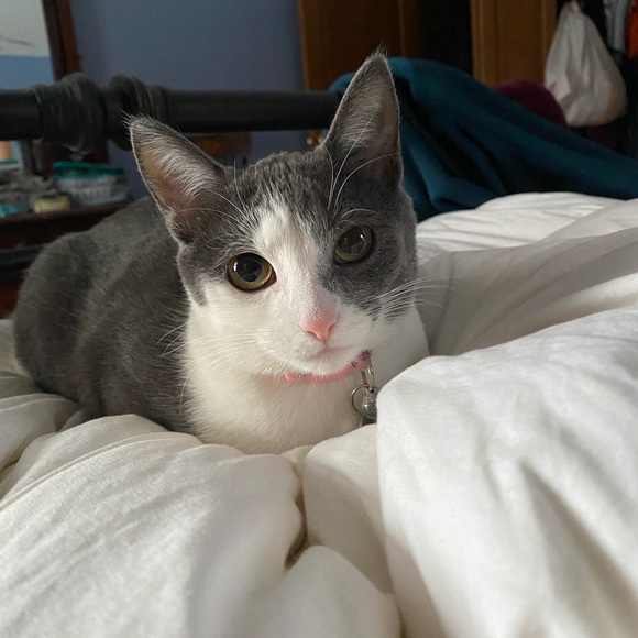 Live Show Listing 🫶🏼🫶🏼 - Picture 4 of 8